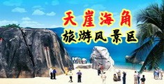黄色网站网站爱赏网海南三亚-天崖海角旅游风景区